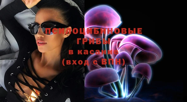 стафф Россошь