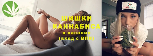ALPHA PVP Ельня