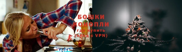 стафф Россошь