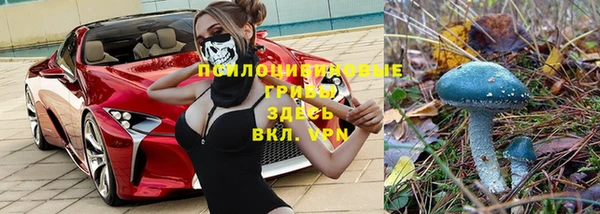 трава Рославль