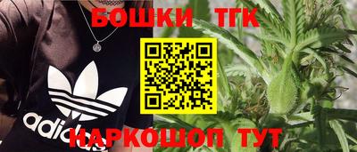 шишки Гусь-Хрустальный