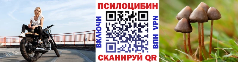 Галлюциногенные грибы мицелий  сколько стоит  Советская Гавань 