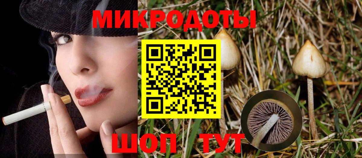 Советская Гавань  Галлюциногенные грибы GOLDEN TEACHER  Вход с VPN 