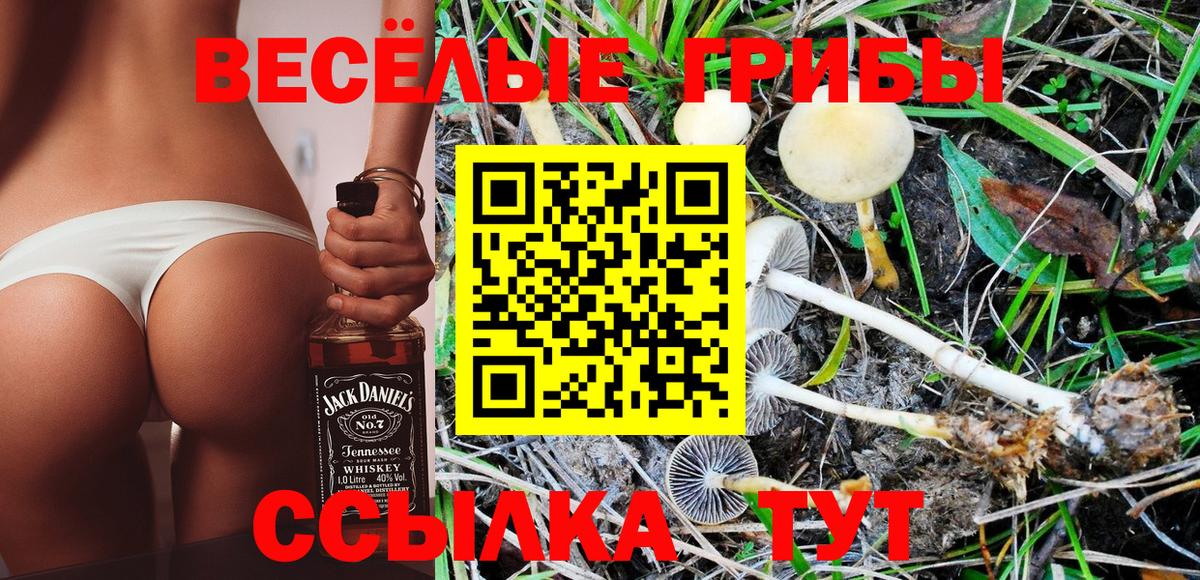 Псилоцибиновые грибы GOLDEN TEACHER Советская Гавань